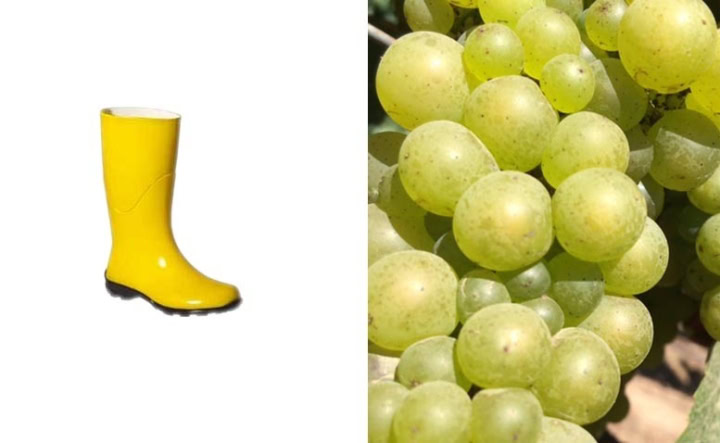 What Lane’s boot tell us