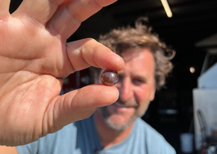 Podcast: Will Henry Talks About Surfing and Wine