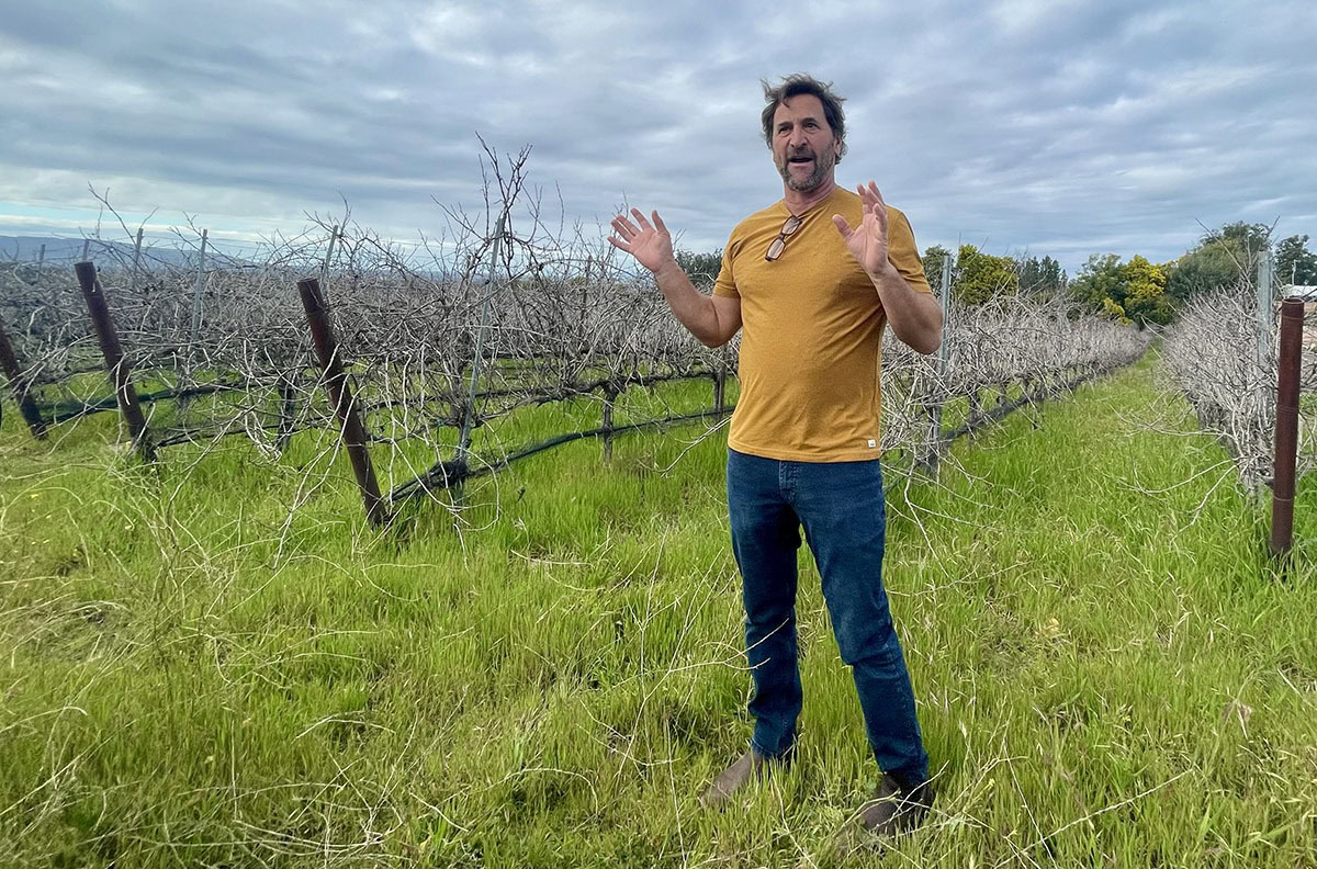 Will Henry talking in the Wild King Vineyard