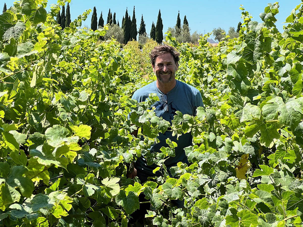 Will Henry standing in the wild-farmed section of Lumen's estate Wild King Vineyard